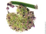 Handmade jewelry 