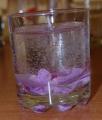 Gel candles 