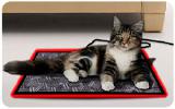 Infrared heated Mat 
