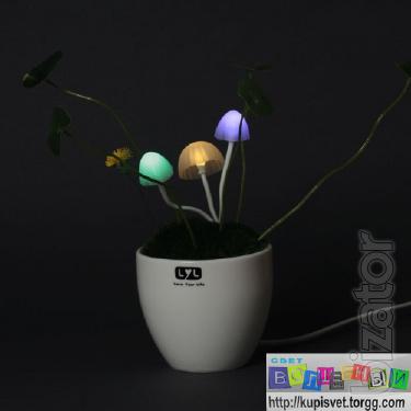 Lamp Avatar 