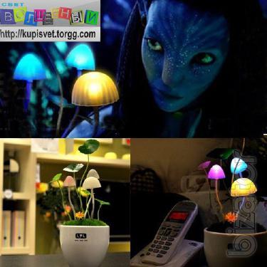 Lamp Avatar 