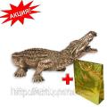 Statuette "Crocodile" pomegrana 26 cm - symbol determination