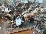 Statuette "Chariot" pomegrana 35cm - a symbol of power