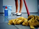 Wholesale distribution warehouse universal detergent for floor and tile