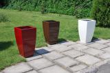 Pots for trees and trees 