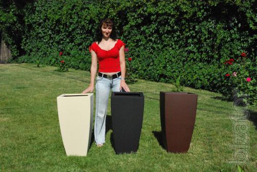 Pots for trees and trees 