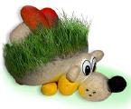 Travanti - live toy for children and adults from the manufacturer 