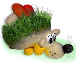 Travanti - live toy for children and adults from the manufacturer 