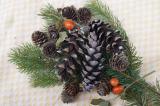cones