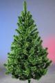 Sale noworry trees and pines Sale noworry trees and pines