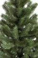 Sale noworry trees and pines 