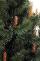 Sale noworry trees and pines 