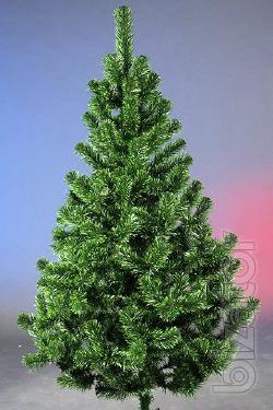 Sale noworry trees and pines 