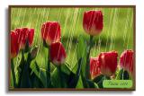 corporate gifts, painted wood interior 