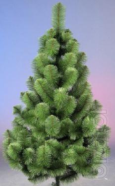 The cheapest alink and pine!!! 
