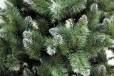 The festival starts with the Christmas tree! 