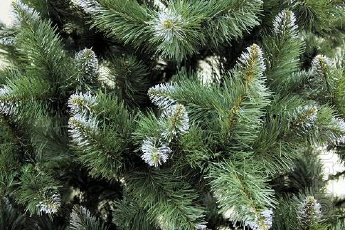 The festival starts with the Christmas tree! 