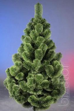 Pine Christmas!!! 