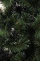 New year beauty-trees and pines!!! 