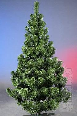 New year beauty-trees and pines!!! 