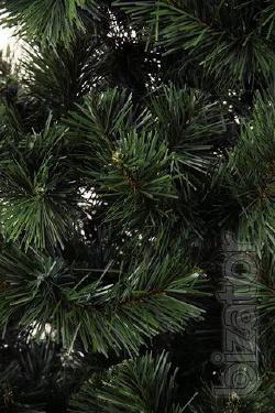 New year beauty-trees and pines!!! 