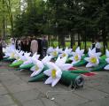Sell, rent pneumatic figures, Aeromonas, pneumophila, 