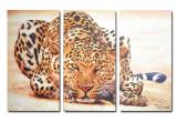 Painting for interior design 