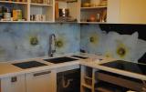 Glass kitchen apron 