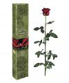 Luxurious and coveted gift # 1 - the Unfading rose French firm FLORICH Luxurious and coveted gift # 1 - the Unfading rose French firm FLORICH