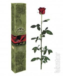 Luxurious and coveted gift # 1 - the Unfading rose French firm FLORICH 