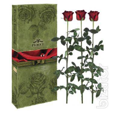 Luxurious and coveted gift # 1 - the Unfading rose French firm FLORICH 