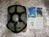 Turtle nightlight "Starry sky"
