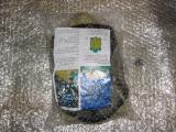 Turtle nightlight "Starry sky" 