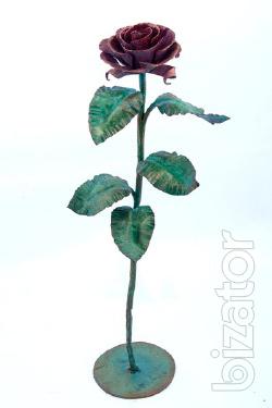 gift girl on February 14 