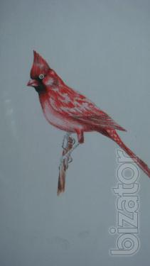 Draw pictures to order 