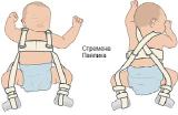 Stirrups Pavlik Velcro,all sizes,from the manufacturer 