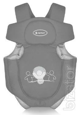 Kangaroo bertoni Bertoni traveller 