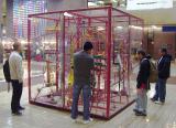 kinetic sculpture for any interior 