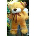 Teddy bear 