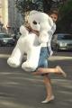 Teddy bear 
