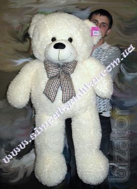 Teddy bear 