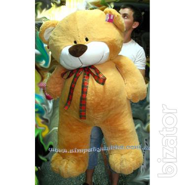 Teddy bear 