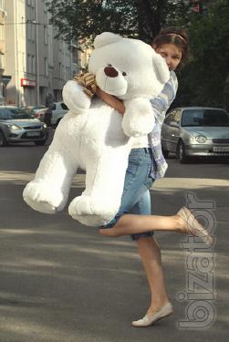 Teddy bear 