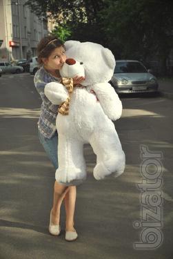 Teddy bear 