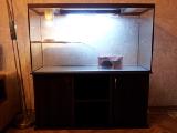 Sell terrarium aquarium