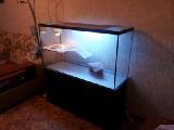 Sell terrarium aquarium 
