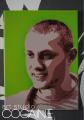 the portrait in the style of pop art in photography 