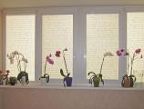 Fabric roller blinds at the best prices 