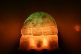 Salt lamp Tortoise colored 4-5 kg