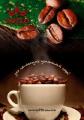 Coffee "Zotto"
